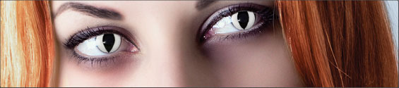 All Contact Lenses