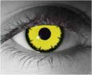contact lenses