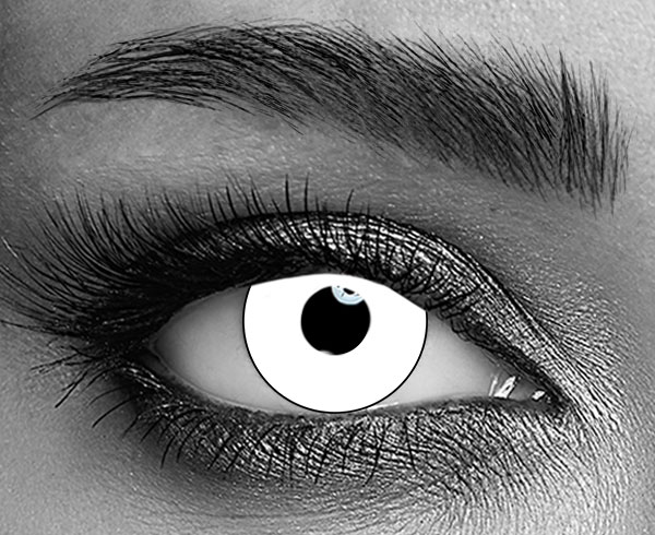 contact lenses
