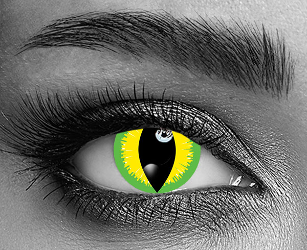 contact lenses