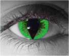 contact lenses