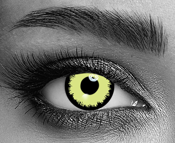 contact lenses