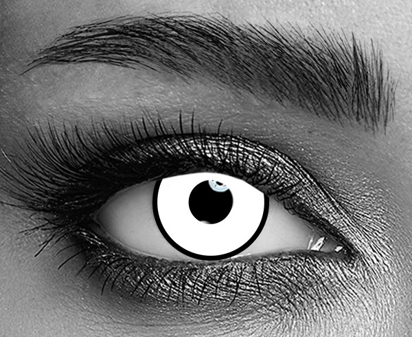 contact lenses