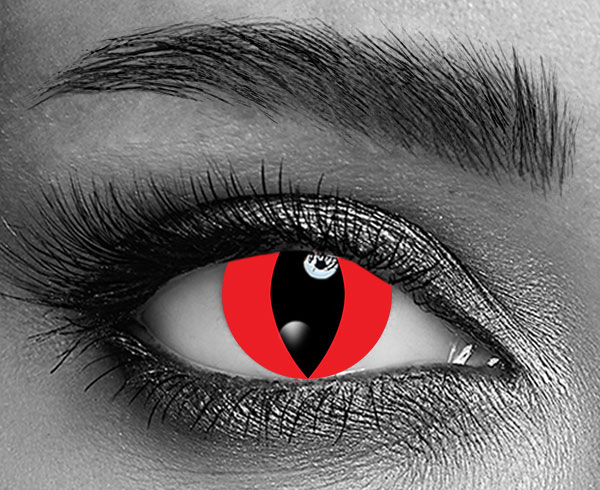 contact lenses
