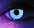 contact lenses