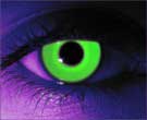 contact lenses