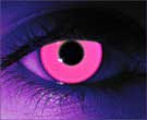 contact lenses