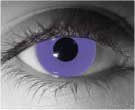 contact lenses