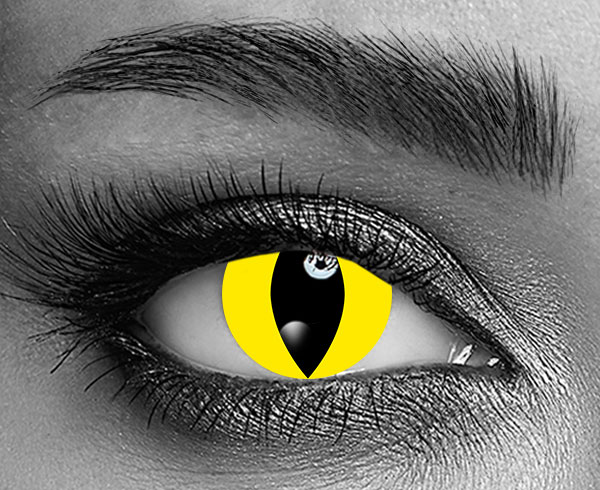 contact lenses