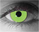 contact lenses