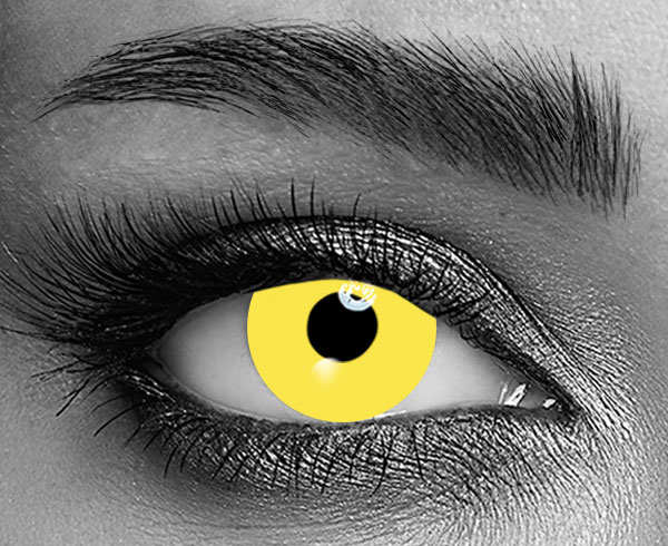 contact lenses