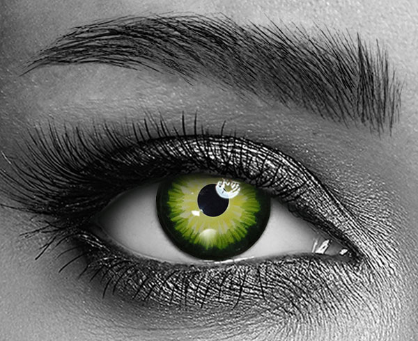 contact lenses