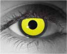 contact lenses