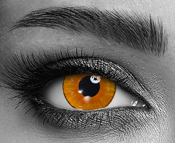 contact lenses
