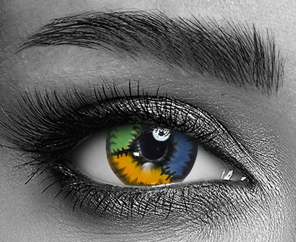 contact lenses
