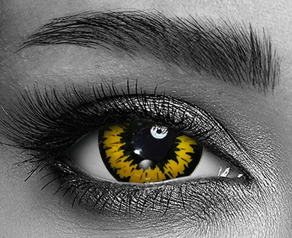 contact lenses