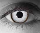 contact lenses