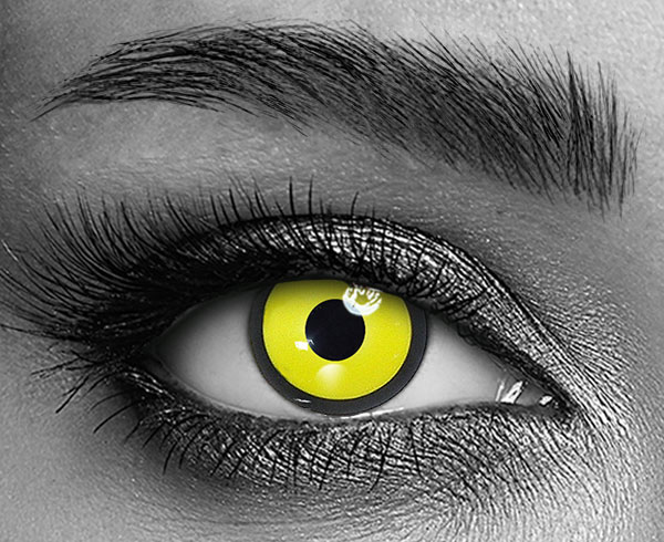 contact lenses