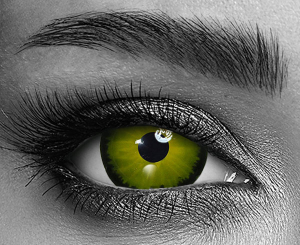contact lenses