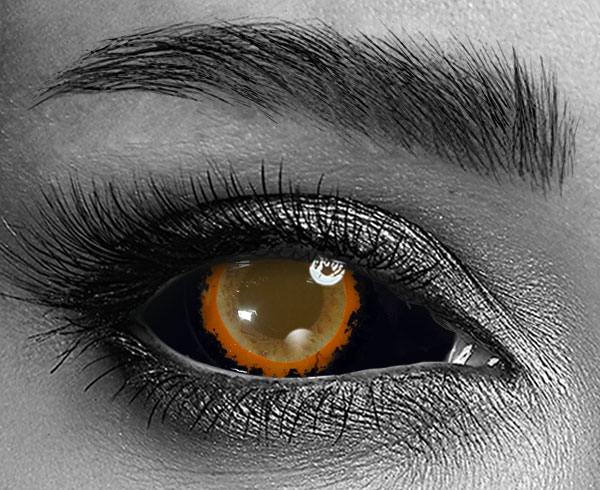 contact lenses