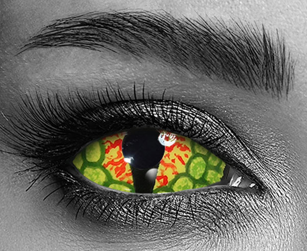 contact lenses