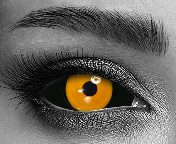 contact lenses