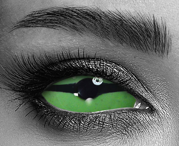 contact lenses