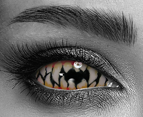 contact lenses