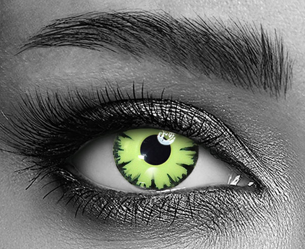 contact lenses