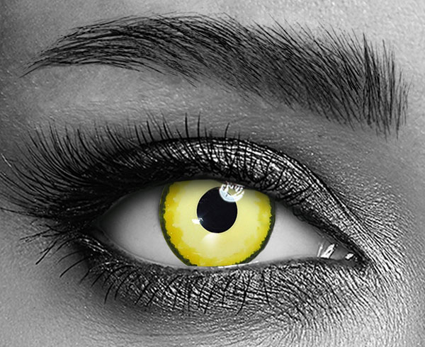 contact lenses