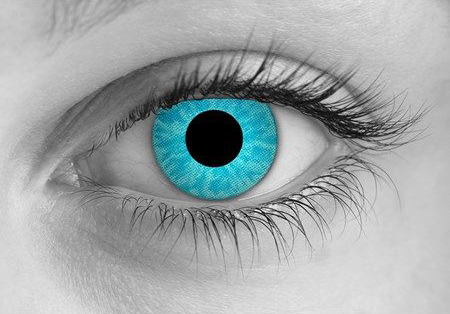 contact lenses