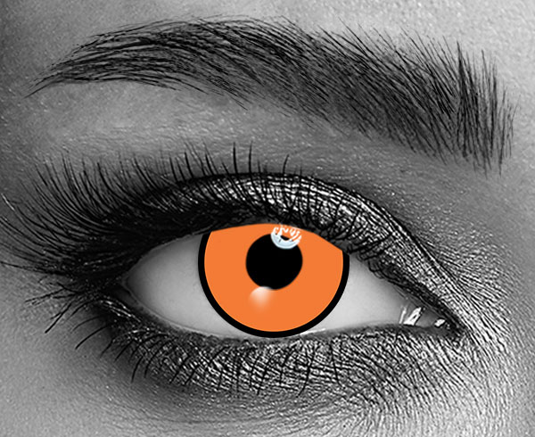 contact lenses