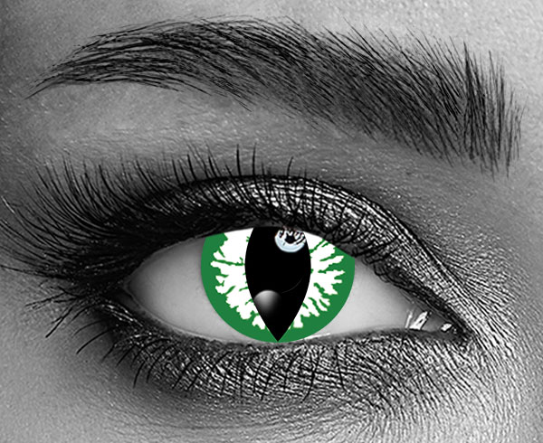 contact lenses