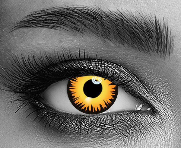 contact lenses
