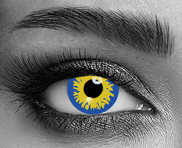 contact lenses
