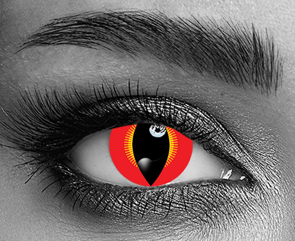 contact lenses