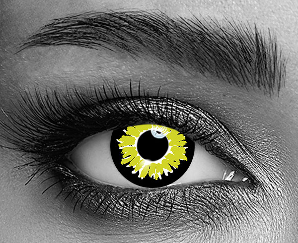 contact lenses