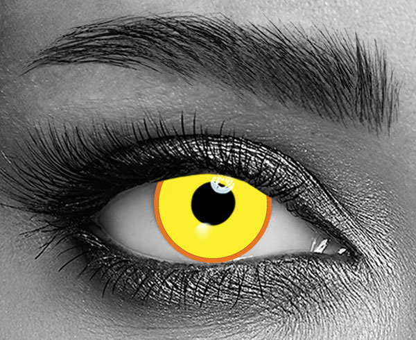 contact lenses